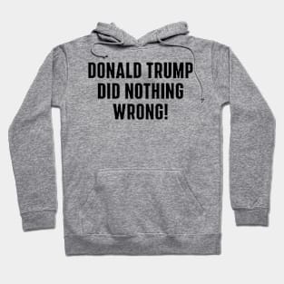 Donald-Trump-did-nothing-wrong Hoodie